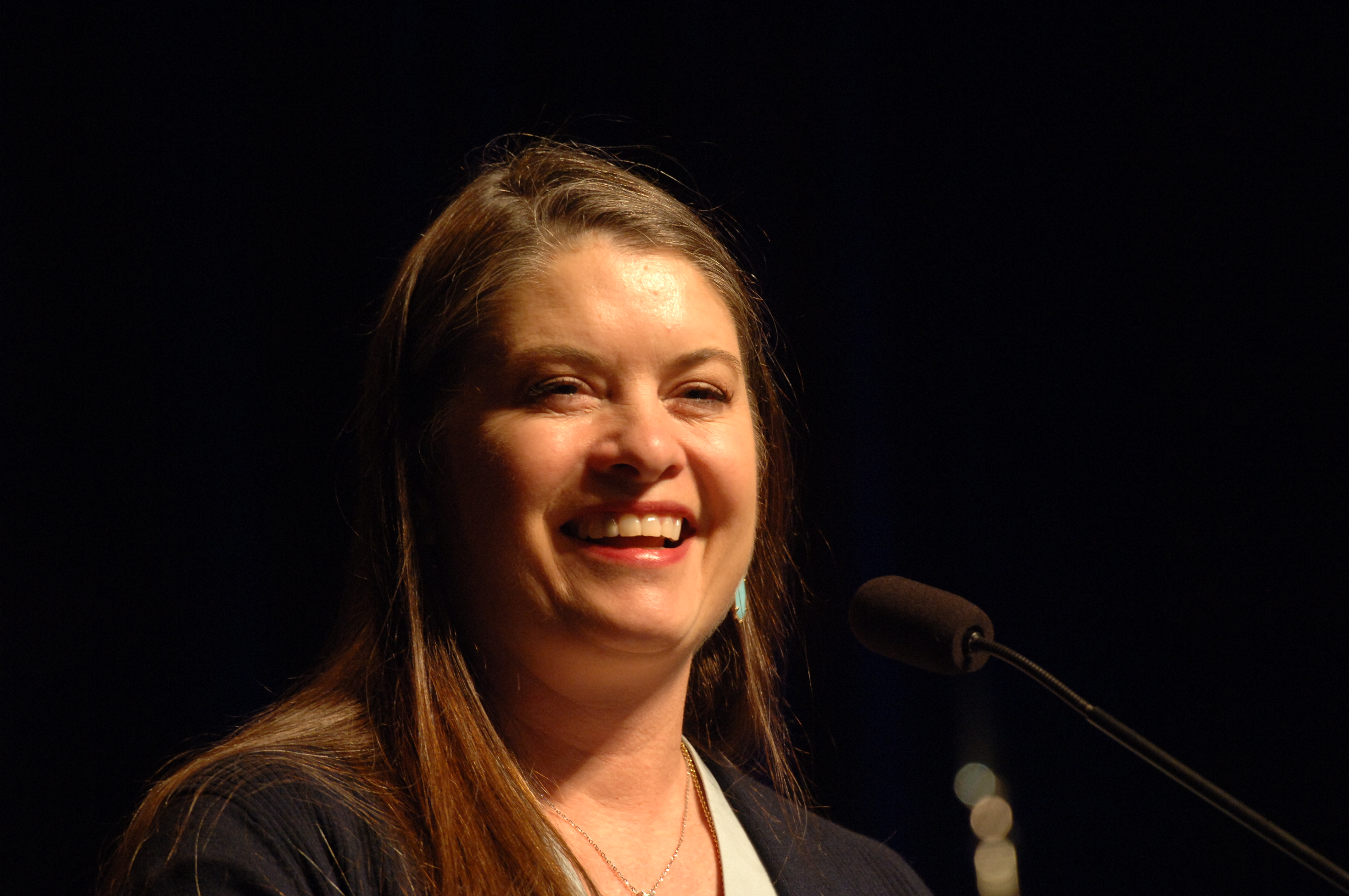 WAI2018 speaker Lynne Hopper